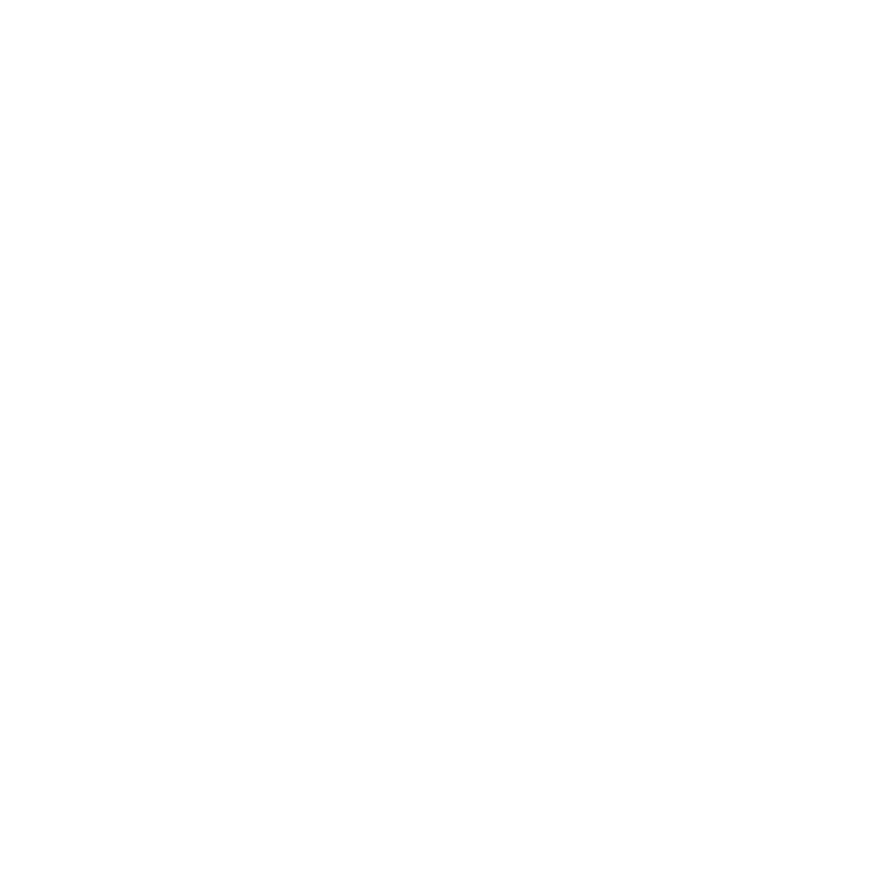 Sky Lites Drone Shows
